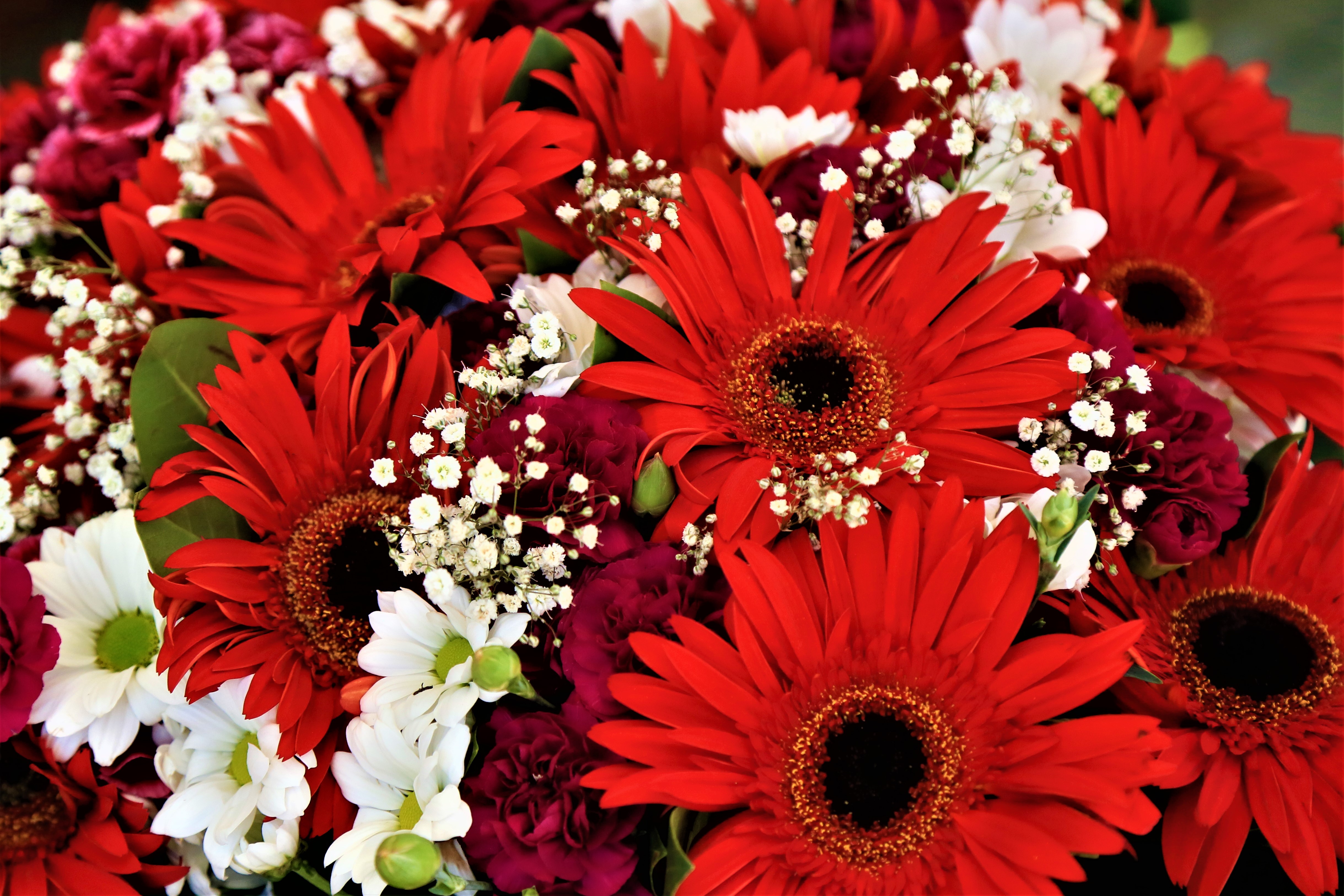 Éthique Professionnelle